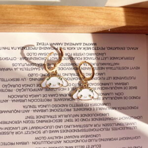 Boucle D’oreille Cinnamoroll